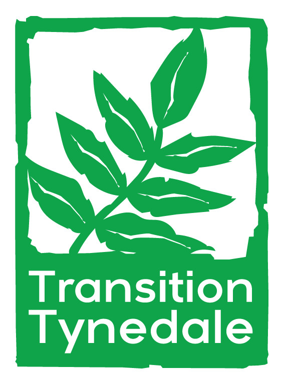 Transition Tynedale logo